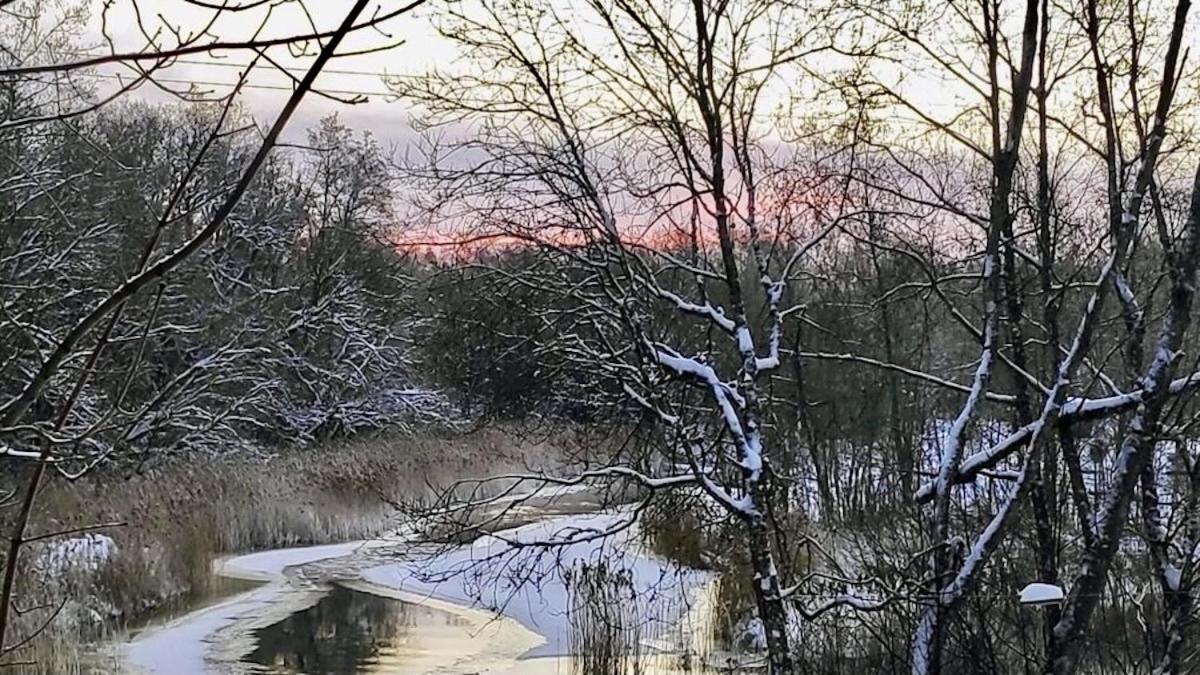 Jõeääre puhkekeskus Vila Langa Exterior foto