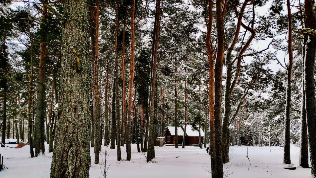 Jõeääre puhkekeskus Vila Langa Exterior foto